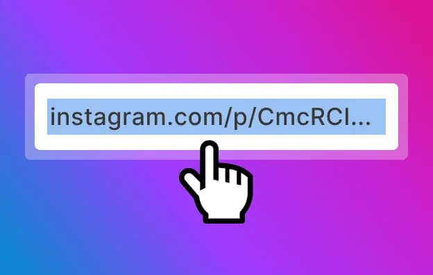 Instagram Videos and Photos Download Process flow Image