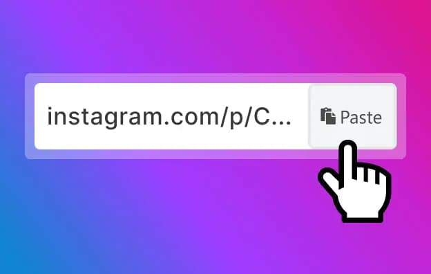 Instagram Videos and Photos Download Process flow Image